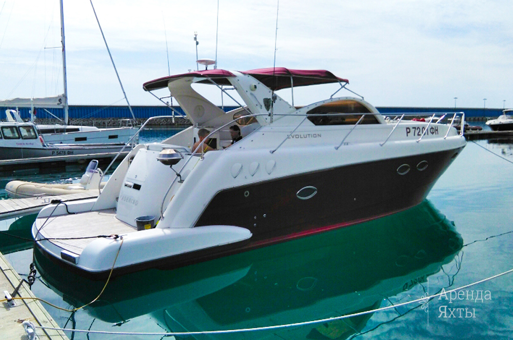 Faserind Evolution | Экстерьер 1