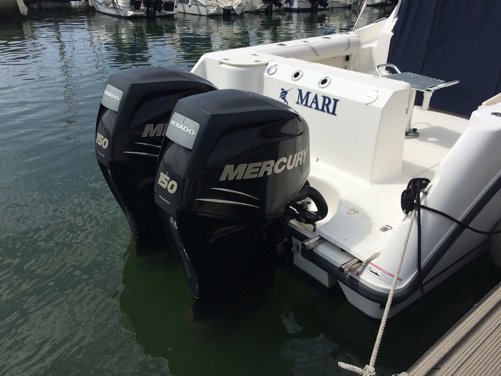 Boston Whaler 255 CQ | Экстерьер 7