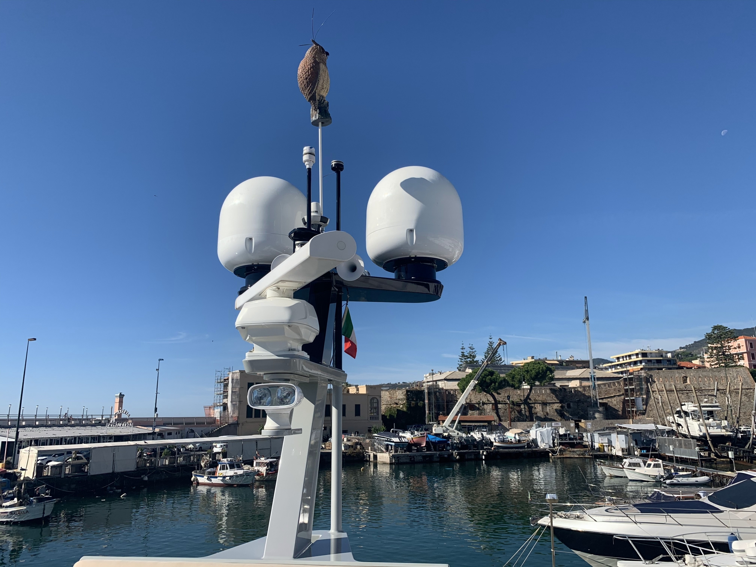 AY74 Jasmine | Экстерьер 6